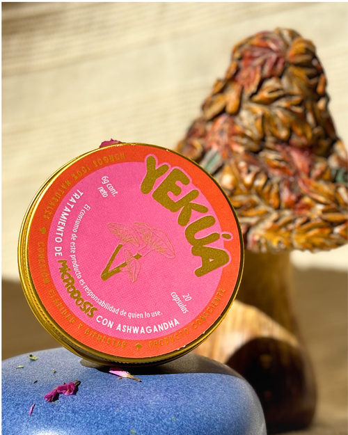 Lata de Ashwaganda con Golden-Teacher de Yekua