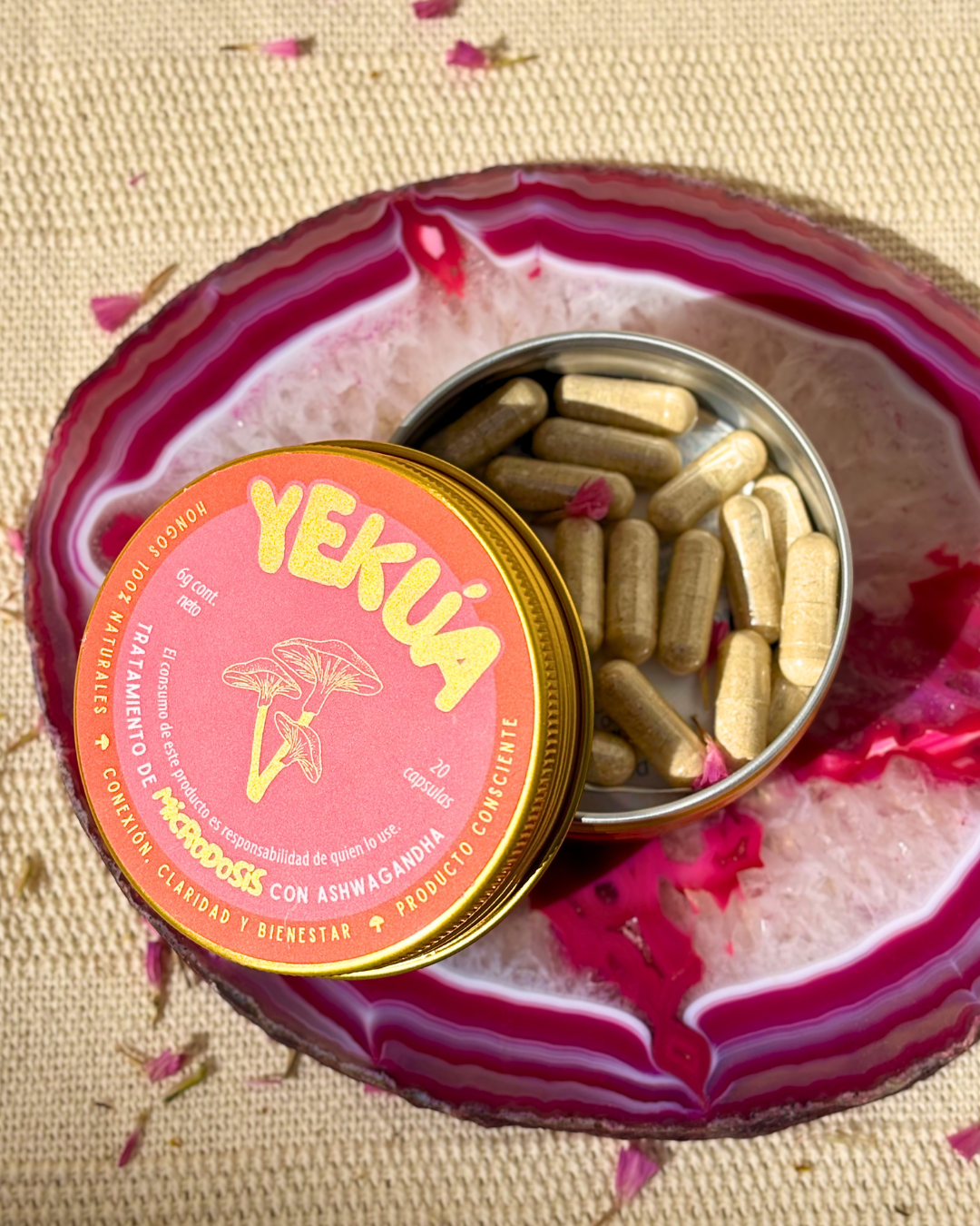 Lata abierta de cápsulas de Ashwaganda con Golden Teacher de Yekúa.Mx
